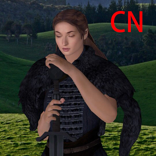 SANSA STARK of WINTERFELL! CN