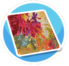 Cerise Smudge Flower Rug