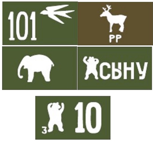Soviet 4th Guard Mechanized Corps Decals