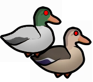 I'll be quack! mod preview for RimWorld