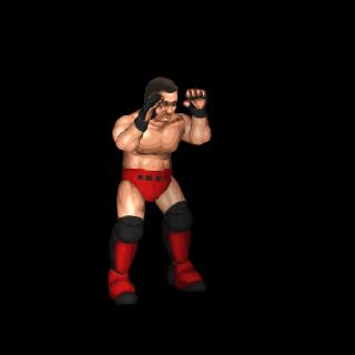 Ken Shamrock