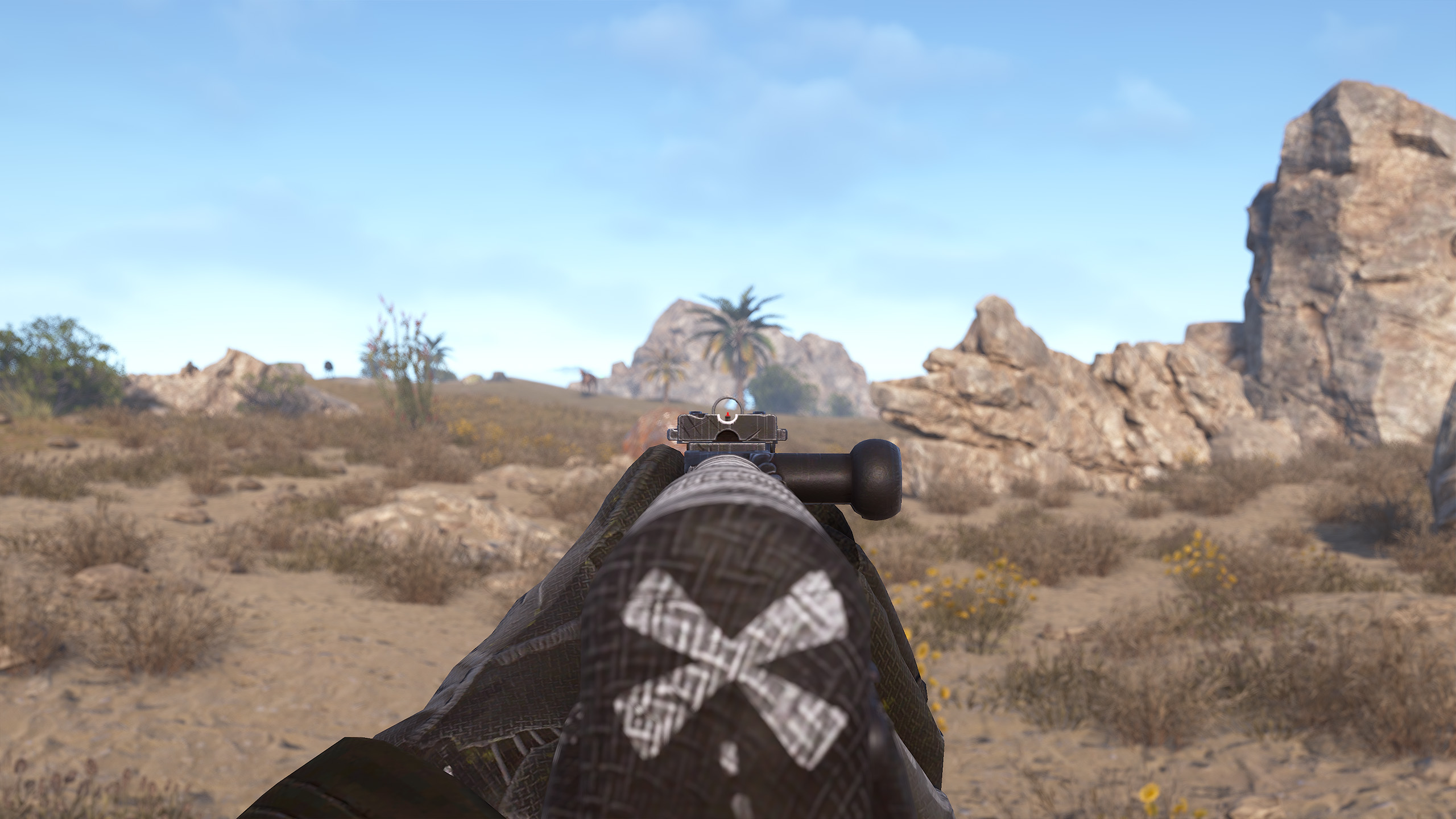 Pirate SKS thumbnail 4