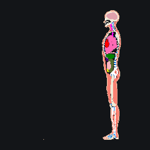 Human