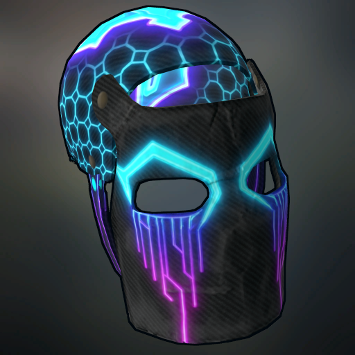 CyberPaladin