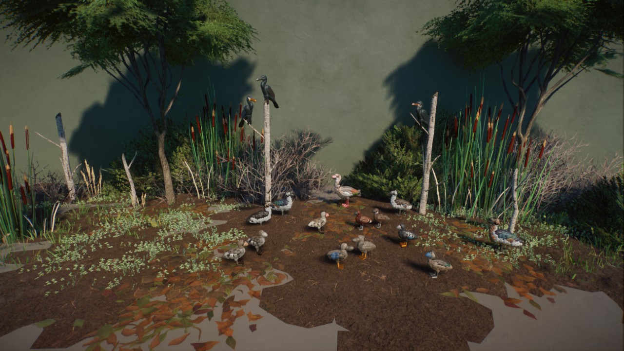 Rick's African Wetlands Birds preview
