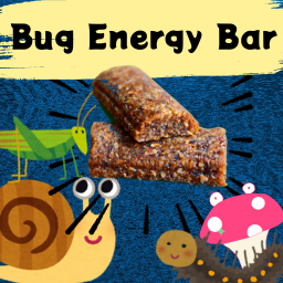Syote Bug Energy Bar