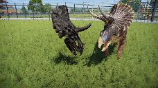triceratops skull preview