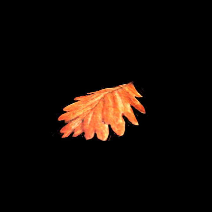 Nature, Leaf, Fall 6