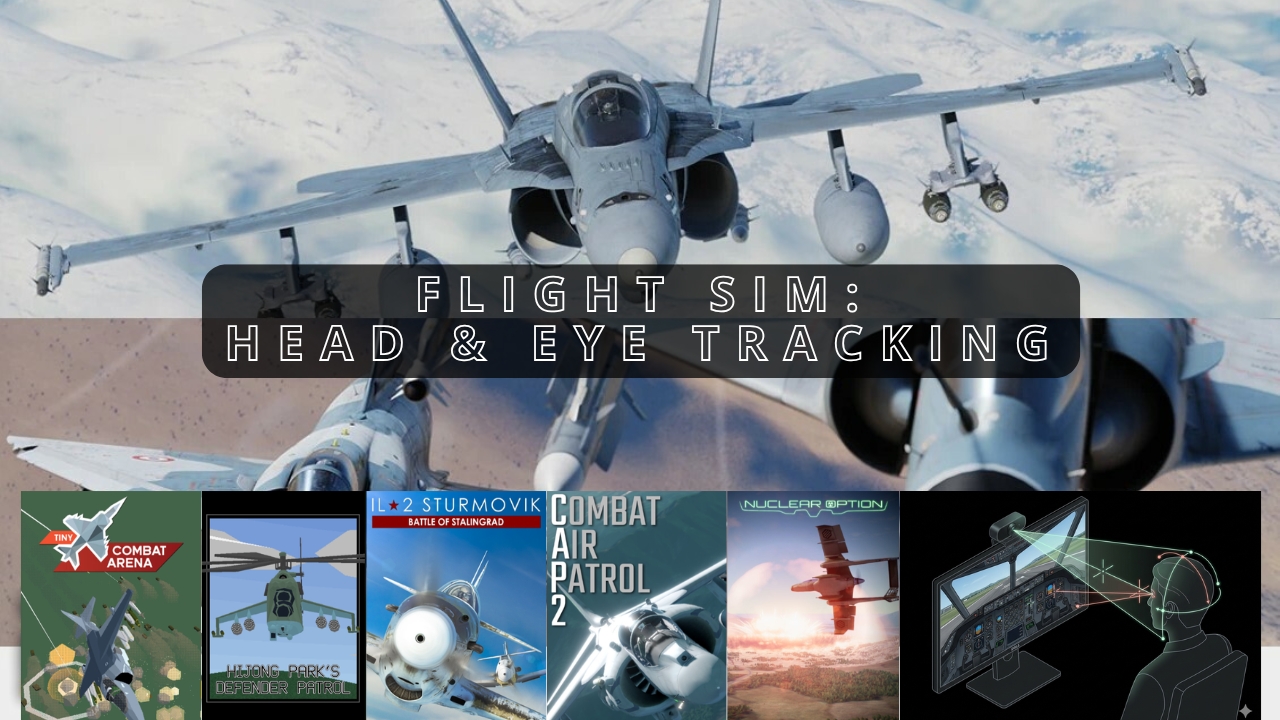 Flight Sim - Head and Eye Tracking