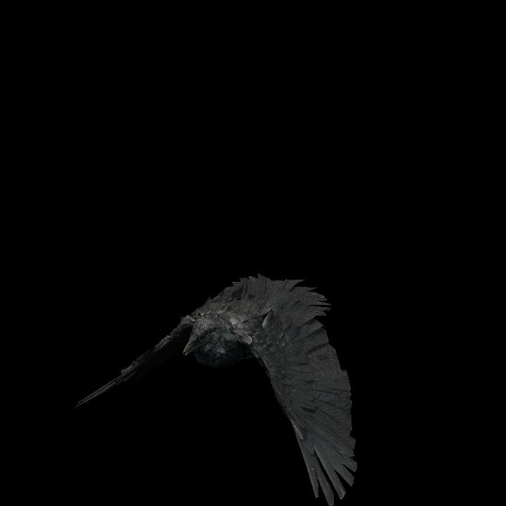 FlyingCrow