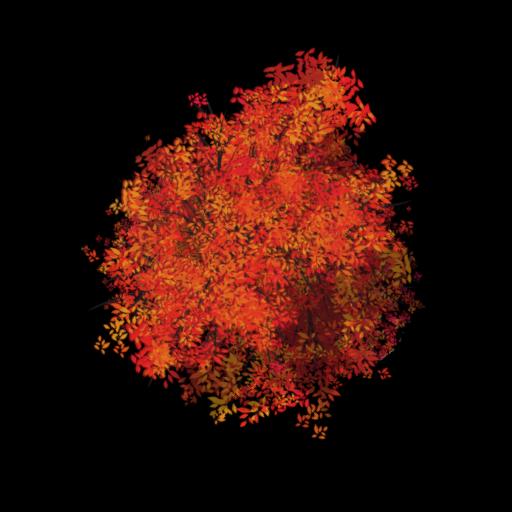 Feiry tree- glowig
