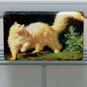 Angora Cat Canvas