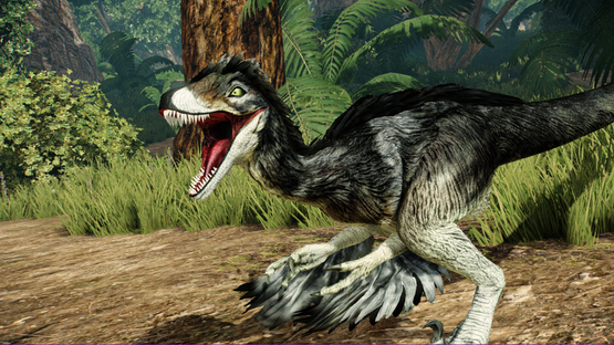 Alaskan Wolf Novaraptor [Winter 2020]