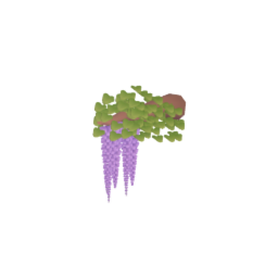 Wisteria Branch 1
