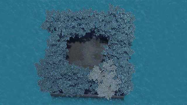 Fruit Tree 100