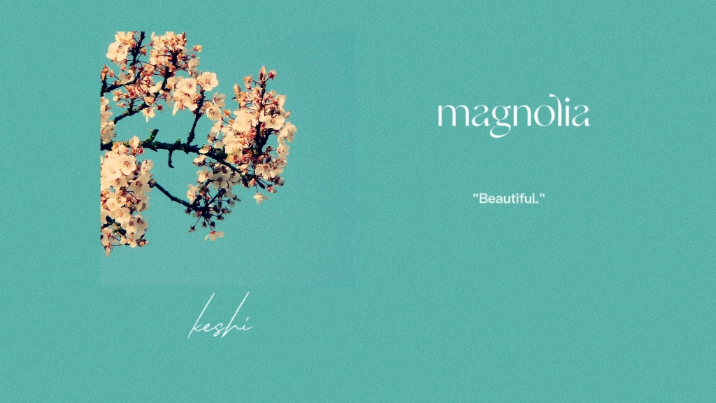 magnolia preview