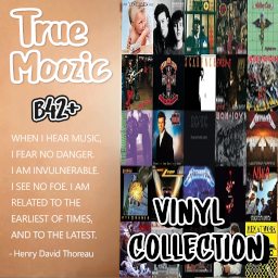TMVINYLCOLLECTION
