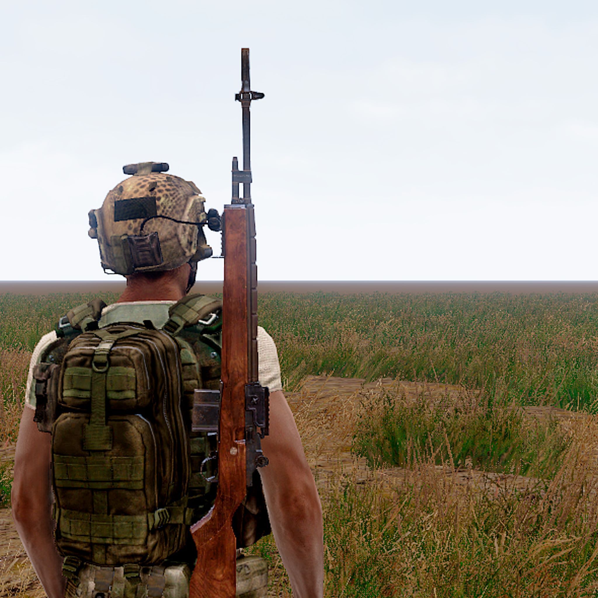 Flat Field