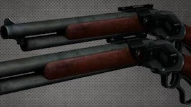 dual-pumpshotgun-script