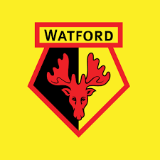 Watford Football Club 990 Milhoes euros sem dividas