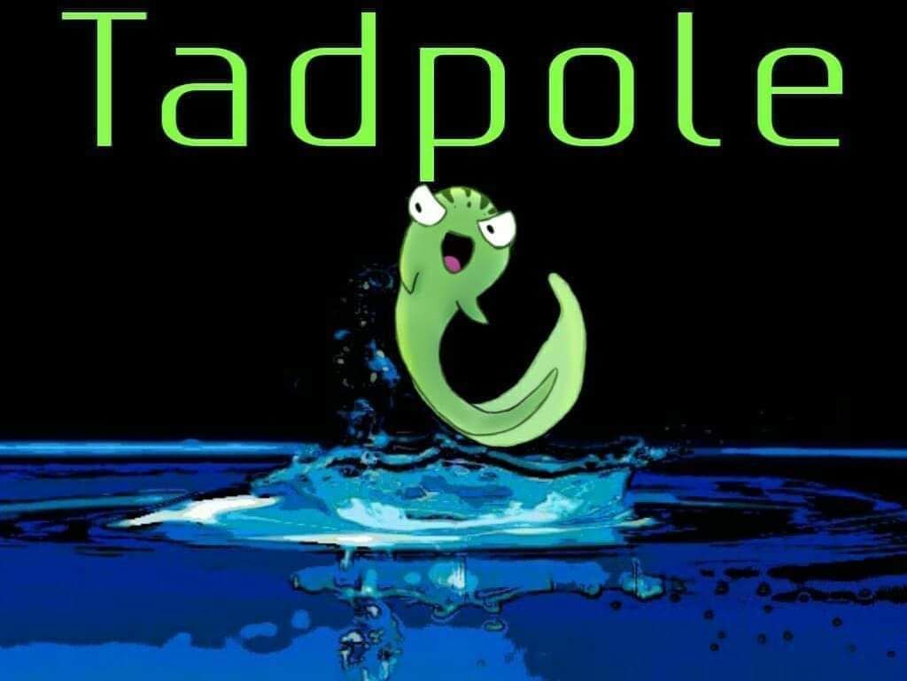 Tadpole's Clothes