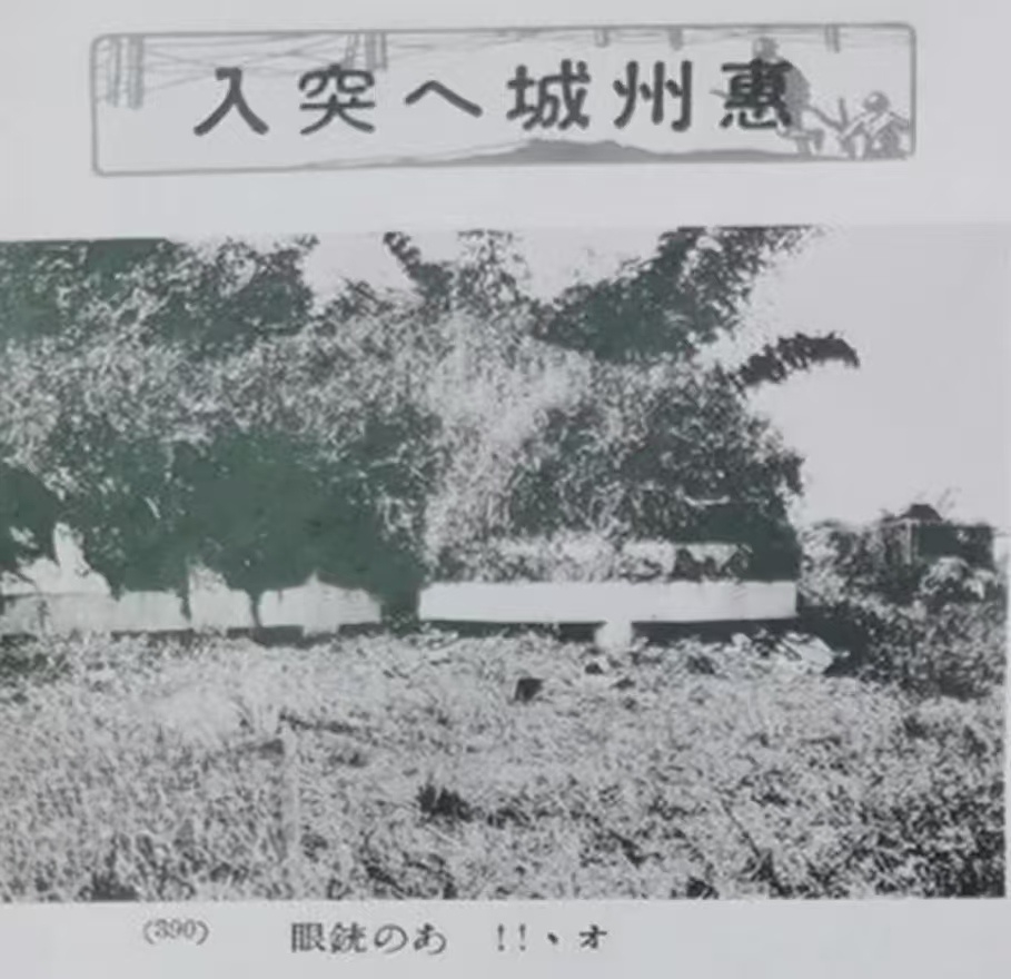 广州战役·阻敌飞鹅岭 [Mission]