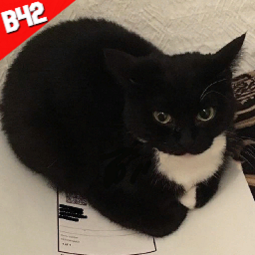 [B42]Maxwell Cat – Project Zomboid Mod
