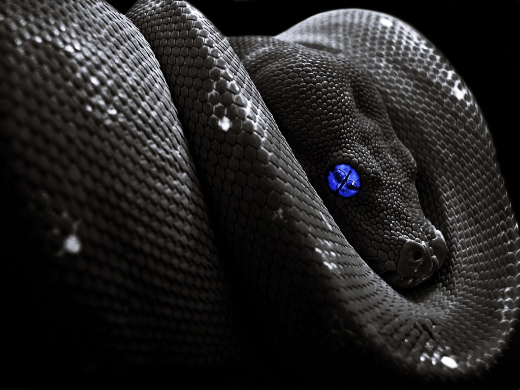 Feint - Snake Eyes (feat CoMa) (Sped Up & Cut Ver)