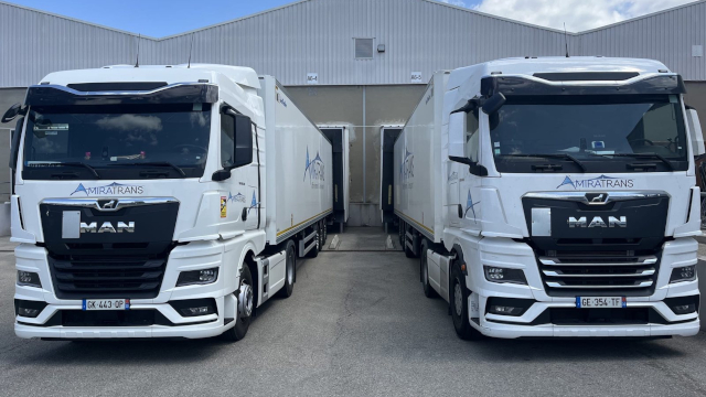 Amiratrans - MAN New TGX