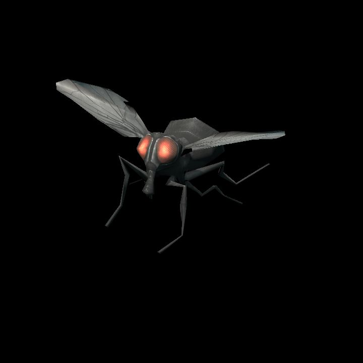 Fly Flying