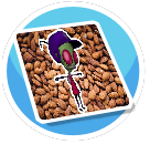 Salted nuts (rug)