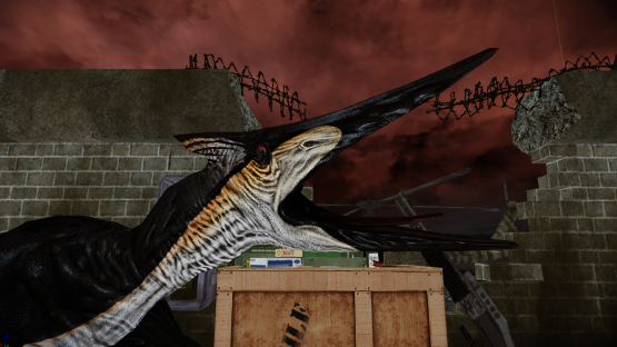 Female Ptera mutation