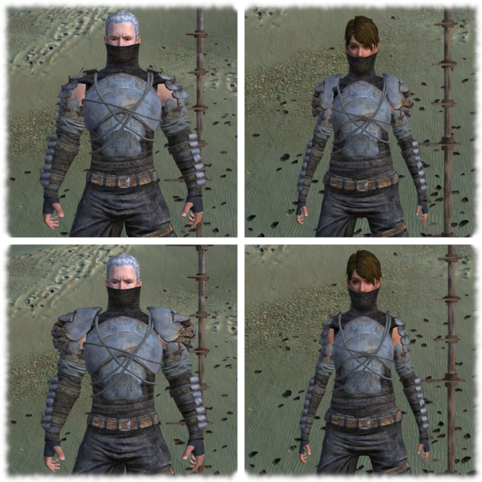 Drifter's​ Shinobi Armour