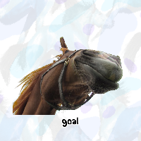 rathorse