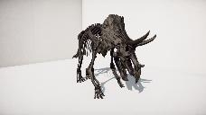 triceratops skeleton preview