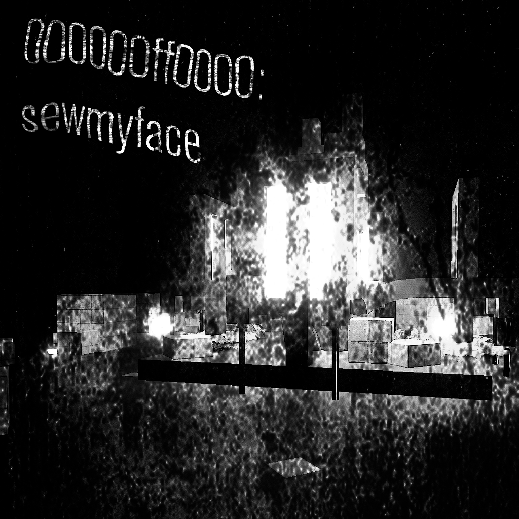 000000ff0000: sewmyface