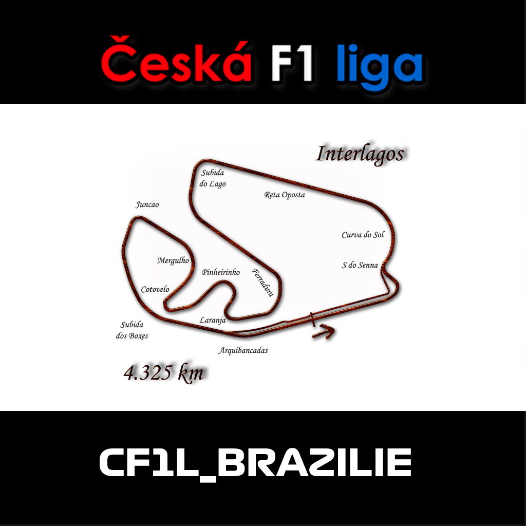 CF1L_BRAZILIE