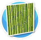 Green Bamboo