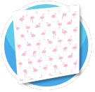 Flamingos