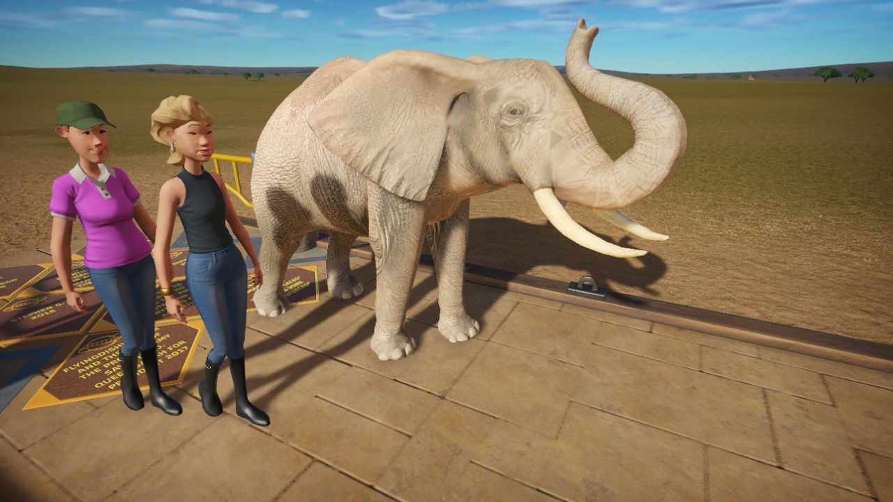 Elephant