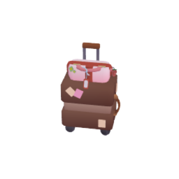 luggage