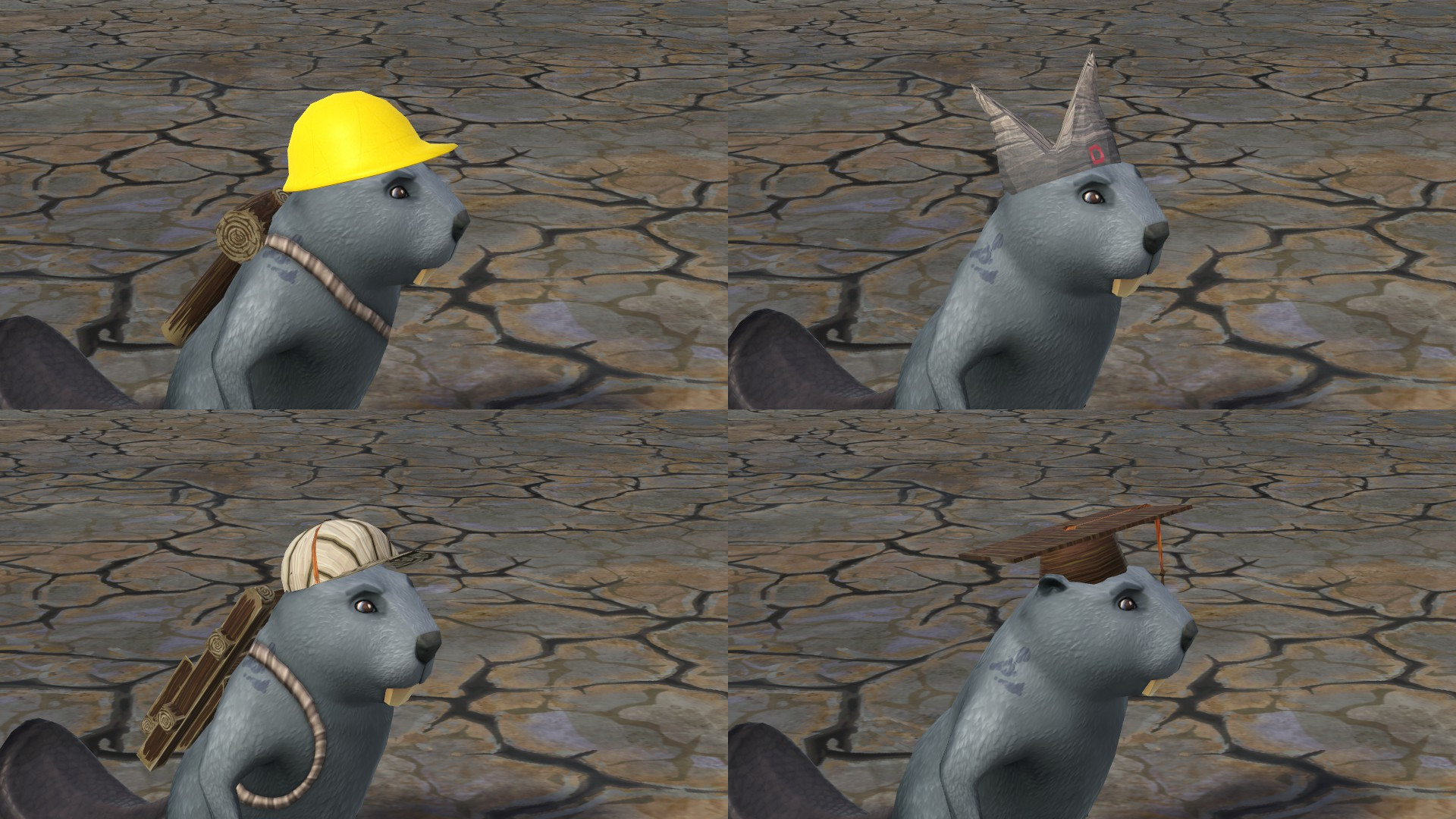 Hats