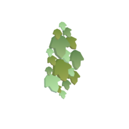 Vines - wall