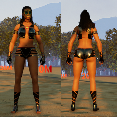 D-Iron Armor