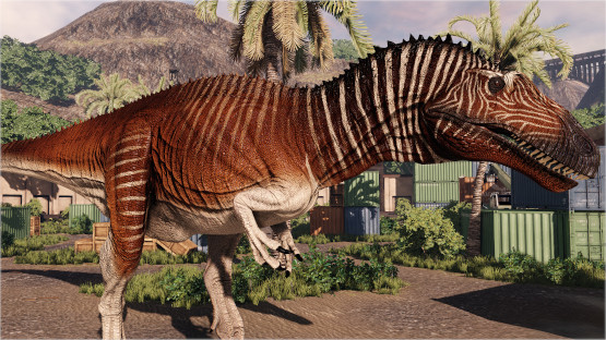 Quagga Acro (Free drop)