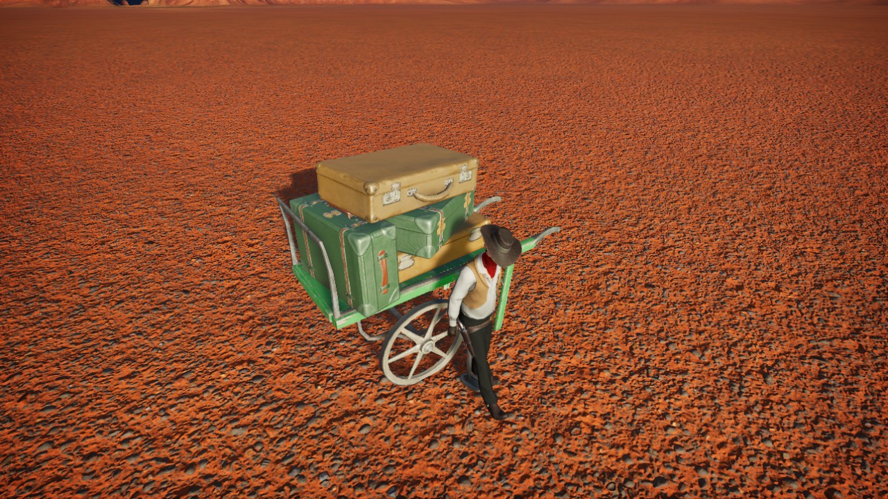 Cowboy and luggage