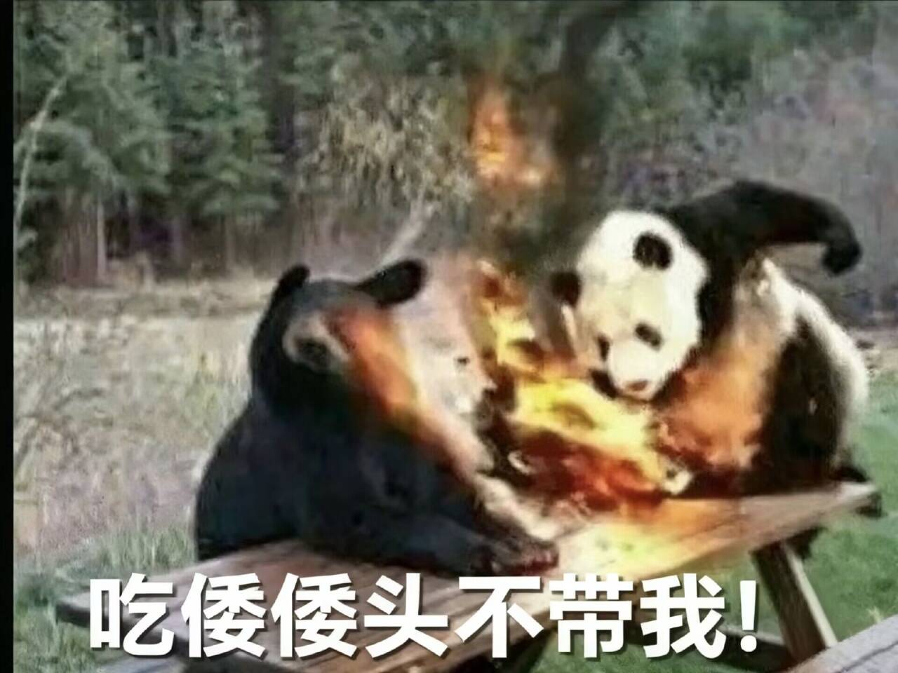 くまねこ Steam Workshop::喝油专享