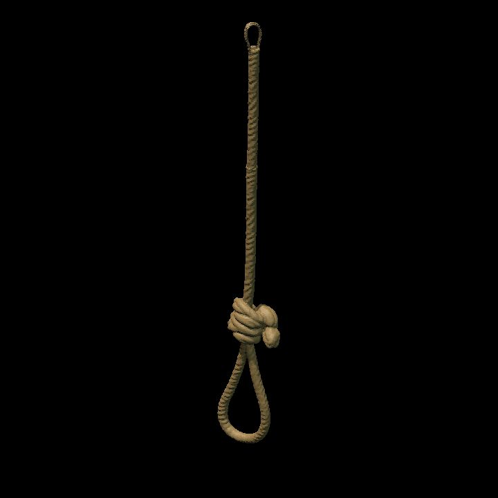 Simple rope noose - long looped