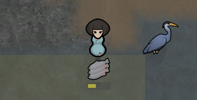 Release the fish