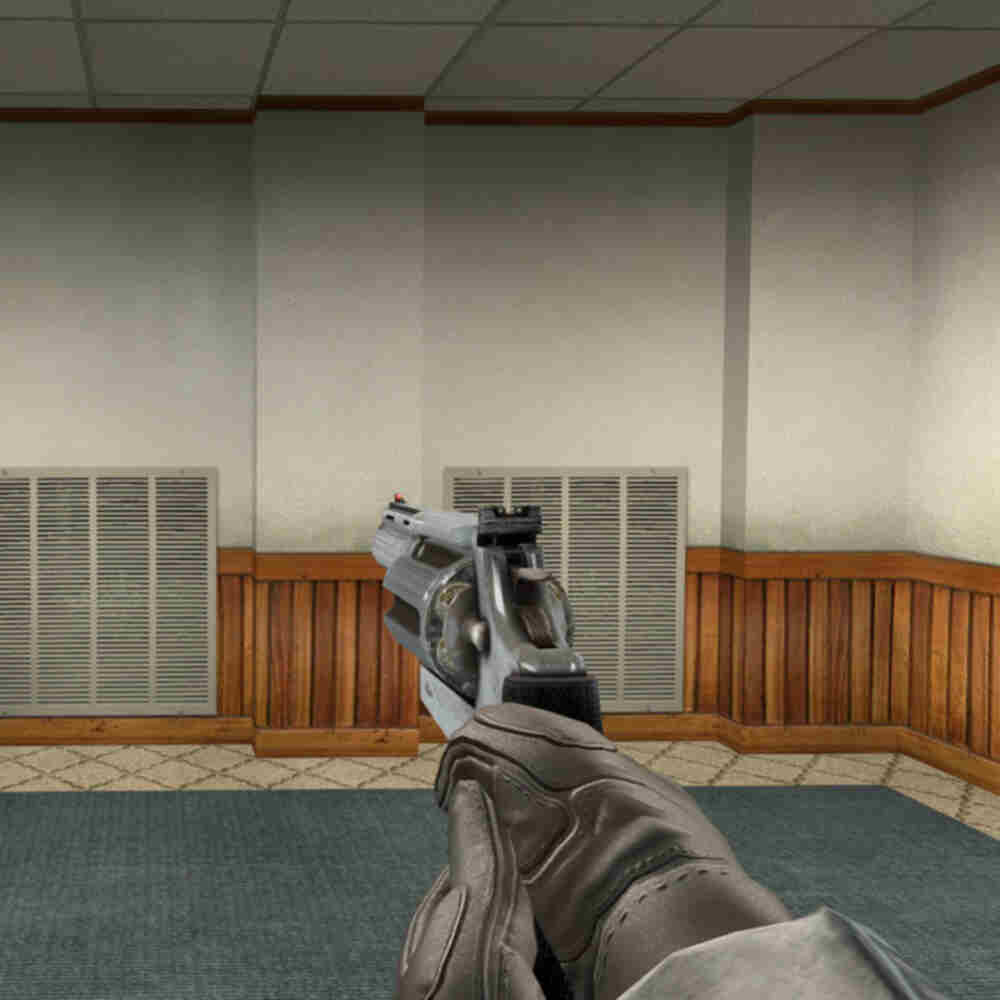 Taurus "Judge" Revolver Remodel

